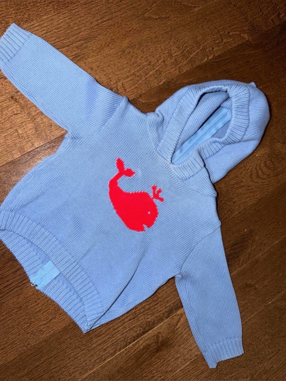 Carriage Boutique Light Blue Hooded Sweater with Red Whale